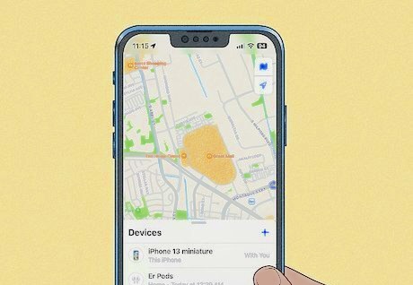 Find My app showing last known location and device status